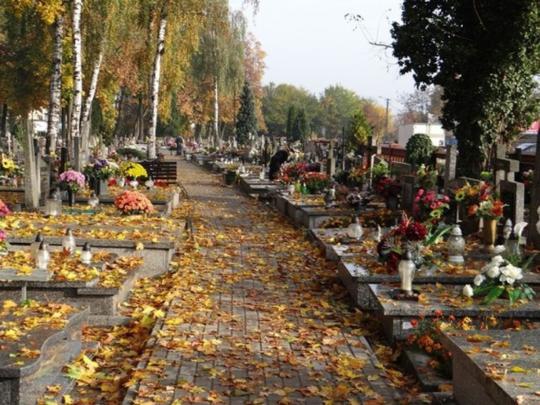gliwice.naszemiasto.pl