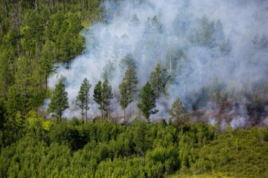 Фото:rusnovosti.ru