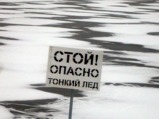 Фото: www.marimedia.ru