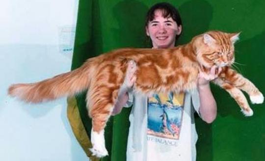 Источник фото: 100facts.ru