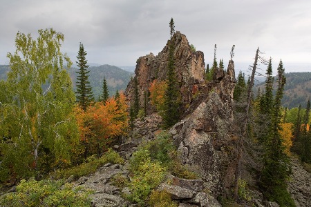 : tonkosti.ru